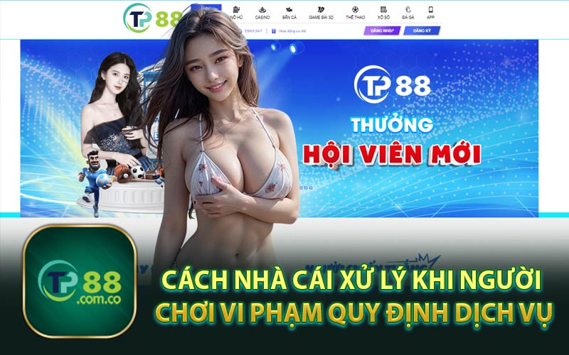 Cách Nhà Cái Xử Lý Khi Người Chơi Vi Phạm Quy Định Dịch Vụ